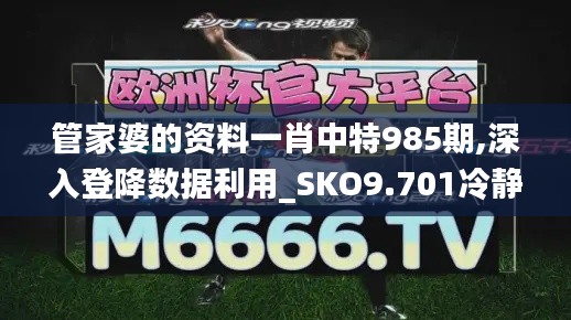 管家婆的资料一肖中特985期,深入登降数据利用_SKO9.701冷静版