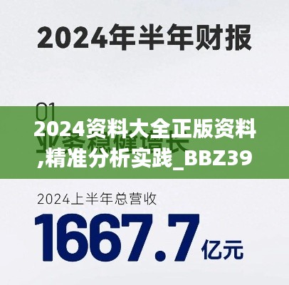 2024资料大全正版资料,精准分析实践_BBZ39.228开放版