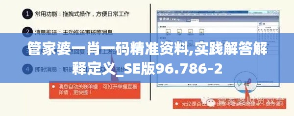 管家婆一肖一码精准资料,实践解答解释定义_SE版96.786-2