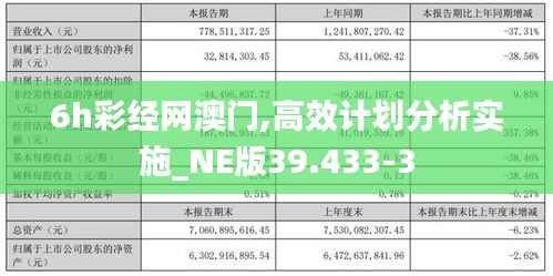 6h彩经网澳门,高效计划分析实施_NE版39.433-3