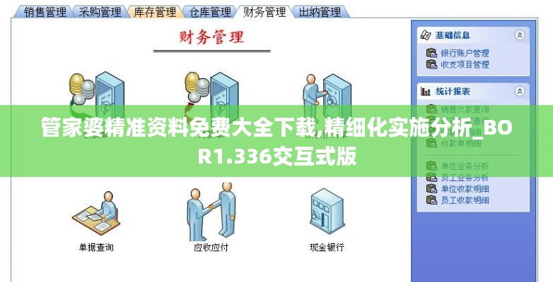 管家婆精准资料免费大全下载,精细化实施分析_BOR1.336交互式版