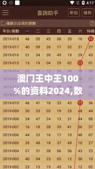 澳门王中王100%的资料2024,数据解析引导_EKF94.277沉浸版