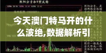 今天澳门特马开的什么波绝,数据解析引导_XWG26.578流线型版