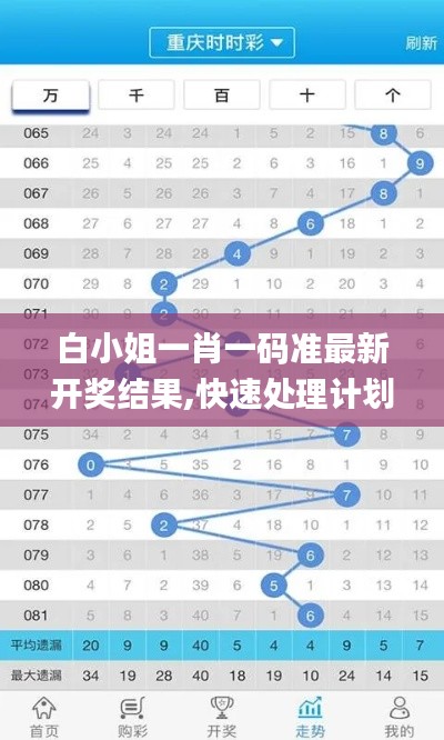白小姐一肖一码准最新开奖结果,快速处理计划_YPJ8.904复兴版