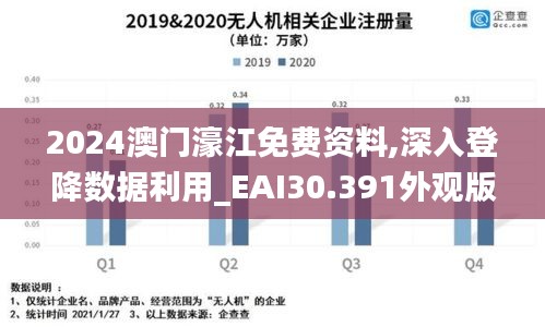 2024澳门濠江免费资料,深入登降数据利用_EAI30.391外观版