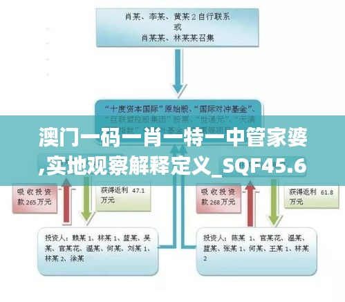 澳门一码一肖一特一中管家婆,实地观察解释定义_SQF45.649收藏版