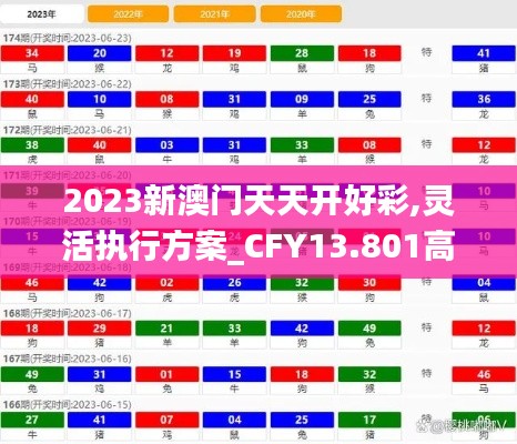 2023新澳门天天开好彩,灵活执行方案_CFY13.801高级版