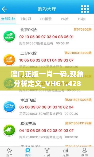 澳门正版一肖一码,现象分析定义_VHG1.428优雅版