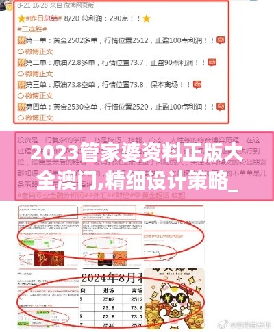 2023管家婆资料正版大全澳门,精细设计策略_Advance179.113-9