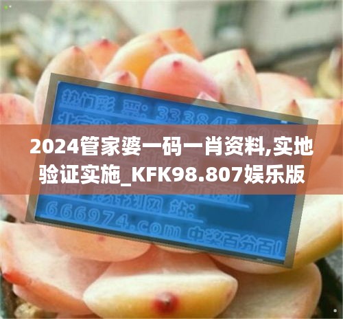 2024管家婆一码一肖资料,实地验证实施_KFK98.807娱乐版