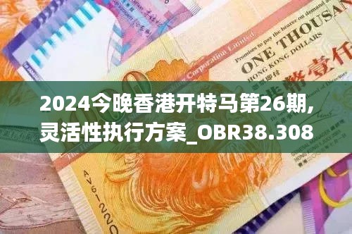 2024今晚香港开特马第26期,灵活性执行方案_OBR38.308轻量版