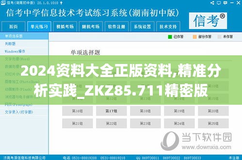 2024资料大全正版资料,精准分析实践_ZKZ85.711精密版