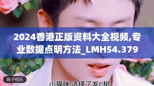 2024香港正版资料大全视频,专业数据点明方法_LMH54.379竞技版