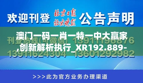 澳门一码一肖一特一中大羸家,创新解析执行_XR192.889-2