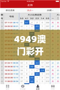 4949澳门彩开奖结果,现况评判解释说法_JAR66.599授权版