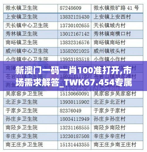 新澳门一码一肖100准打开,市场需求解答_TWK67.454专属版