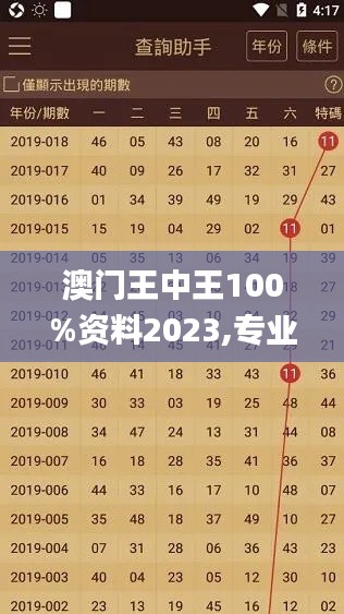 澳门王中王100%资料2023,专业地调查详解_MQX74.173创新版