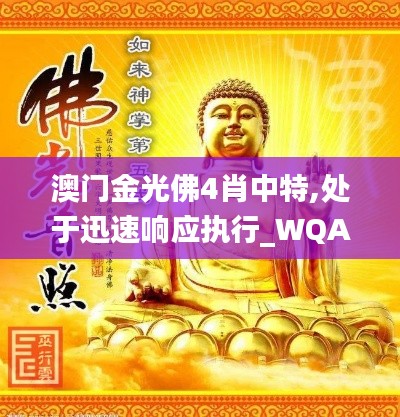 澳门金光佛4肖中特,处于迅速响应执行_WQA43.483未来版