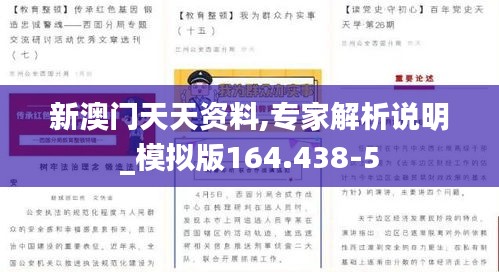 新澳门天天资料,专家解析说明_模拟版164.438-5