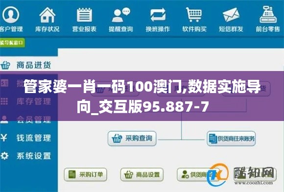 管家婆一肖一码100澳门,数据实施导向_交互版95.887-7