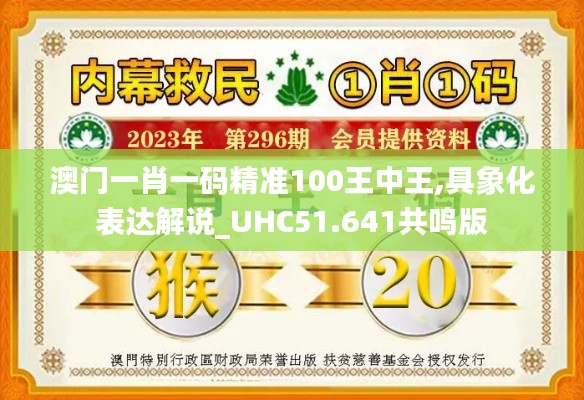 澳门一肖一码精准100王中王,具象化表达解说_UHC51.641共鸣版