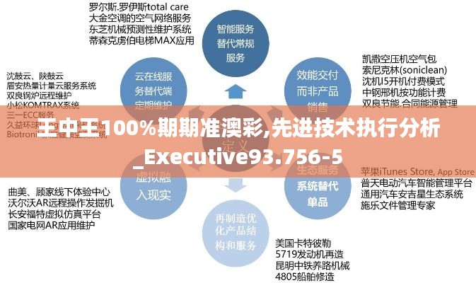 王中王100%期期准澳彩,先进技术执行分析_Executive93.756-5