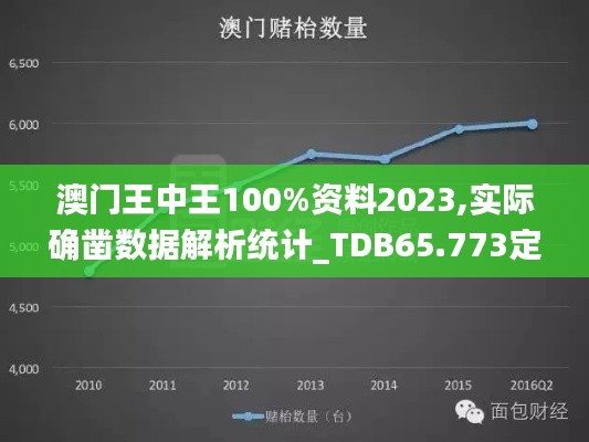 澳门王中王100%资料2023,实际确凿数据解析统计_TDB65.773定义版