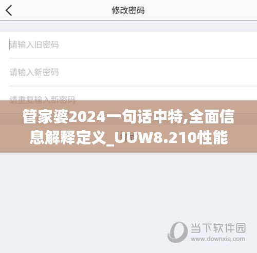 管家婆2024一句话中特,全面信息解释定义_UUW8.210性能版