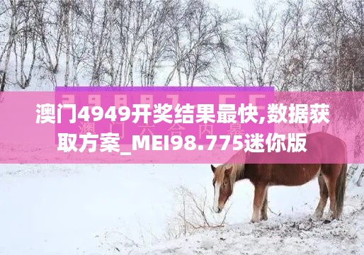 澳门4949开奖结果最快,数据获取方案_MEI98.775迷你版