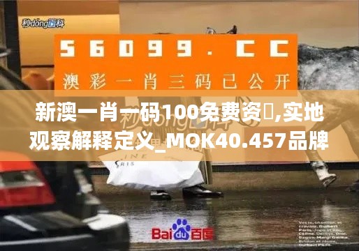 新澳一肖一码100免费资枓,实地观察解释定义_MOK40.457品牌版