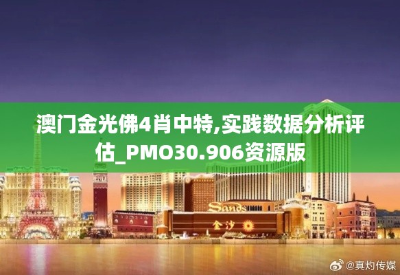 澳门金光佛4肖中特,实践数据分析评估_PMO30.906资源版