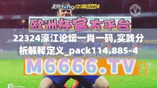 22324濠江论坛一肖一码,实践分析解释定义_pack114.885-4