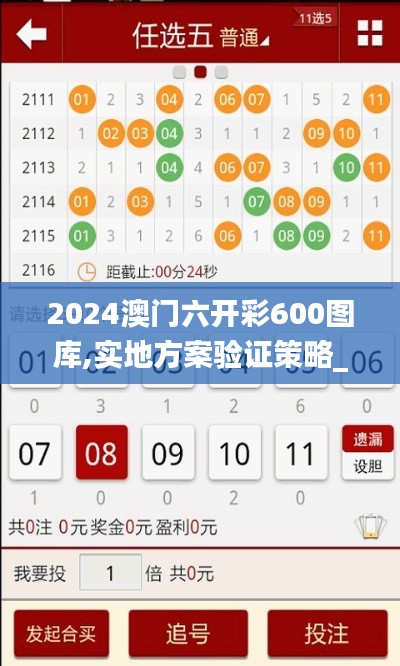 2024澳门六开彩600图库,实地方案验证策略_苹果版53.988-6