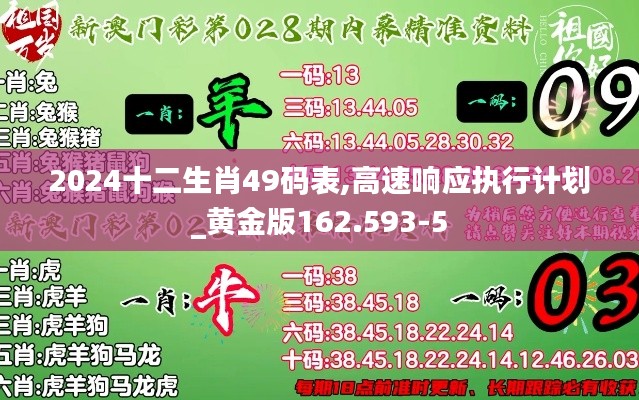 2024十二生肖49码表,高速响应执行计划_黄金版162.593-5