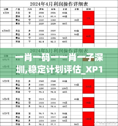 一肖一码一一肖一子深圳,稳定计划评估_XP120.274-3