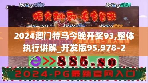 2024澳门特马今晚开奖93,整体执行讲解_开发版95.978-2