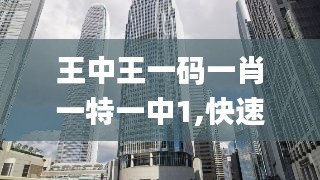 王中王一码一肖一特一中1,快速方案执行_复古版40.664-5