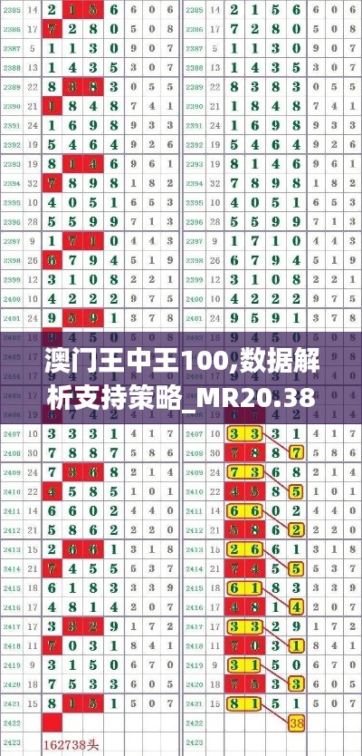 澳门王中王100,数据解析支持策略_MR20.385-9