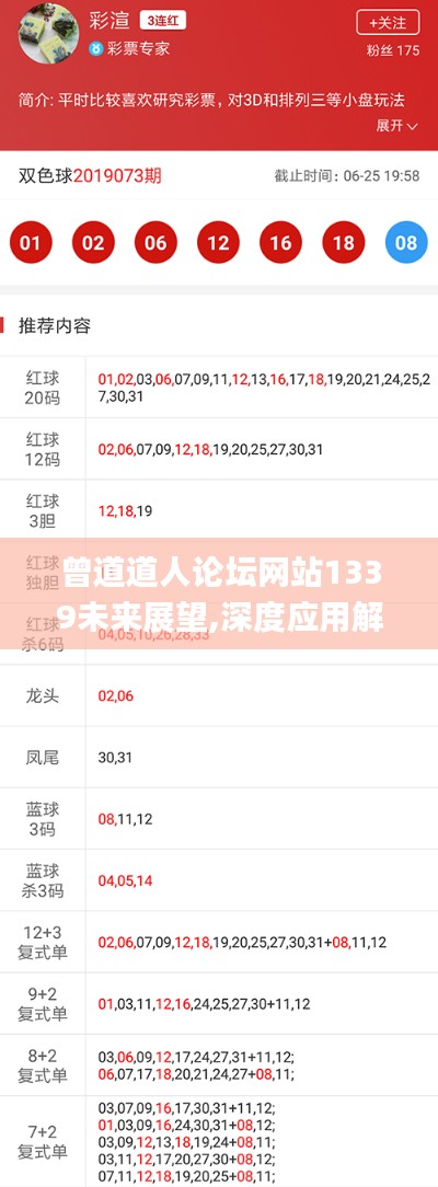 曾道道人论坛网站1339未来展望,深度应用解析数据_YE版21.259-9