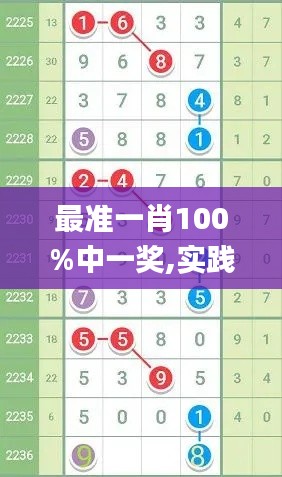 最准一肖100%中一奖,实践计划推进_动态版95.487-4