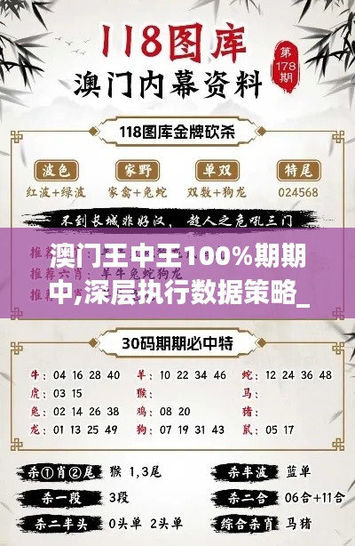 澳门王中王100%期期中,深层执行数据策略_领航版10.572