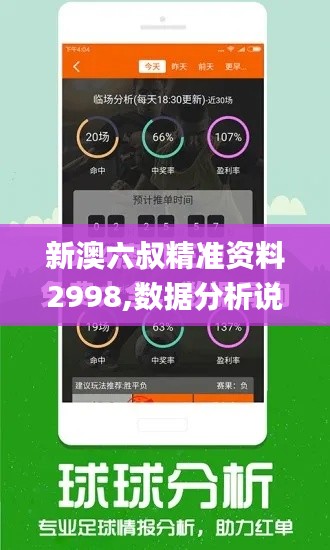 新澳六叔精准资料2998,数据分析说明_The3.466