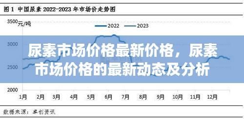 尿素市场最新价格动态及分析综述