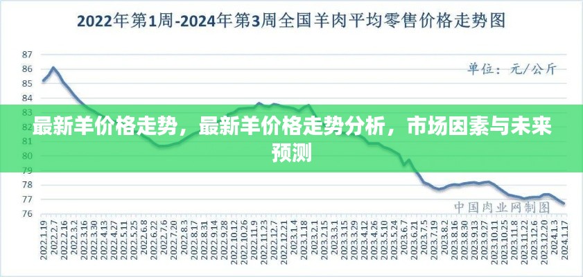 最新羊价格走势分析，市场因素剖析与未来趋势预测