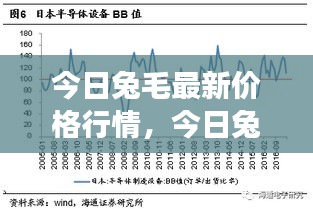 今日兔毛市场最新价格行情深度解析与趋势预测