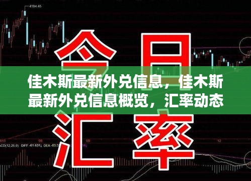 佳木斯最新外兑信息及汇率动态概览，政策调整与兑换指南