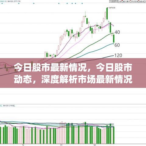 今日股市动态及深度解析，最新市场状况与未来展望