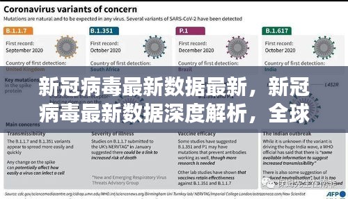 全球新冠病毒最新数据深度解析，疫情动态及应对策略探讨