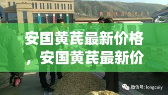 安国黄芪最新价格与市场趋势深度解析