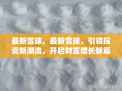 最新雪球引领投资新潮流，开启财富增长新篇章